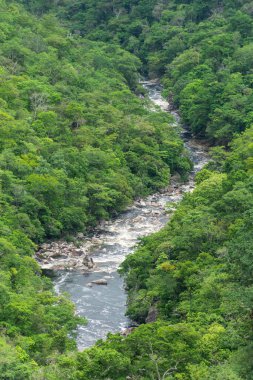 Brezilya 'da Chapada dos Veadeiros' taki yeşil vadideki Cerrado nehrinin güzel manzarası