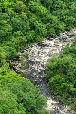 Brezilya 'da Chapada dos Veadeiros' taki yeşil vadideki Cerrado nehrinin güzel manzarası