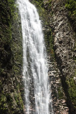 Chapada dos Veadeiros, Brezilya 'da cerrado şelalesi manzarası