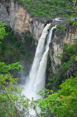 Chapada dos Veadeiros, Brezilya 'da cerrado şelalesi manzarası