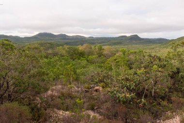 Chapada dos Veadeiros, Brezilya 'daki Cerrado Dağları manzarası
