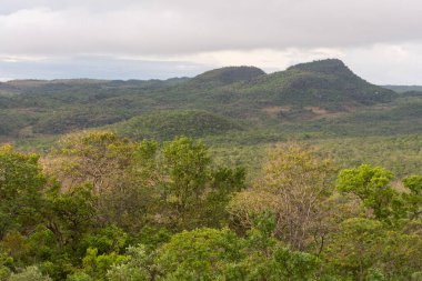 Chapada dos Veadeiros, Brezilya 'daki Cerrado Dağları manzarası