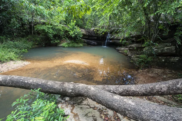 Cerrado Paisagem Cachoeira Chapada Dos Veadeiros Brasil — Fotografia de Stock