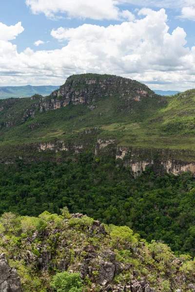 Зелена Гірська Долина Церрадо Чапада Дос Веадейрос Бразилія — стокове фото