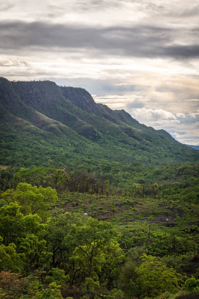 Cerrado Chapada Dos Veadeiros Brasil — Fotografia de Stock