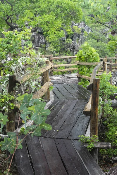 Ландшафт Деревянной Пешеходной Дорожки Chapada Dos Veadeiros Бразилия — стоковое фото