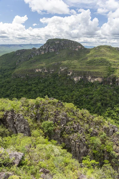 Зелена Гірська Долина Церрадо Чапада Дос Веадейрос Бразилія — стокове фото