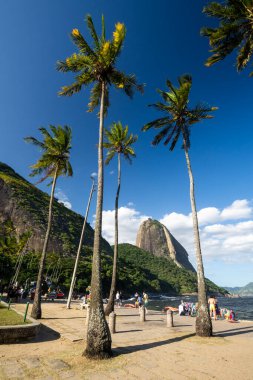 Şehir plajından Sugar Loaf Dağı, Rio de Janeiro, Brezilya 'ya güzel bir manzara