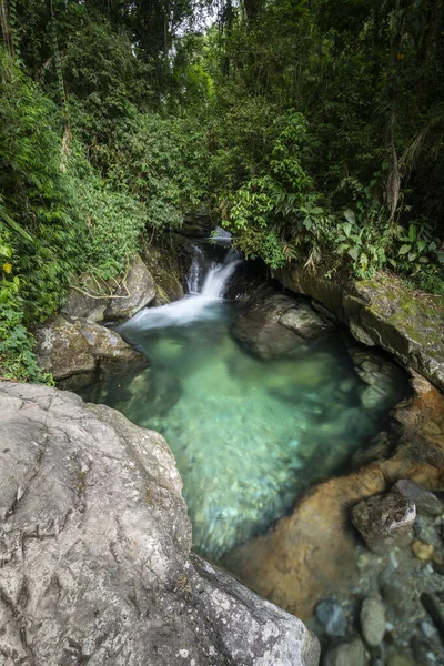 Hermosa Vista Cascada Verde Selva Atlántica Con Piscina Azul Río — Foto de Stock