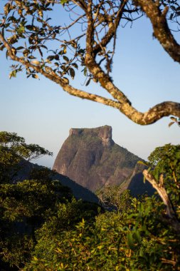 Yeşil yağmur ormanlarına ve kayalık dağlara güzel bir manzara, Rio de Janeiro, Brezilya
