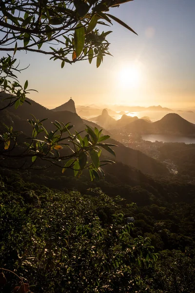 Чудовий Вид Тропічні Гори Місто Ріо Жанейро Бразилія — стокове фото