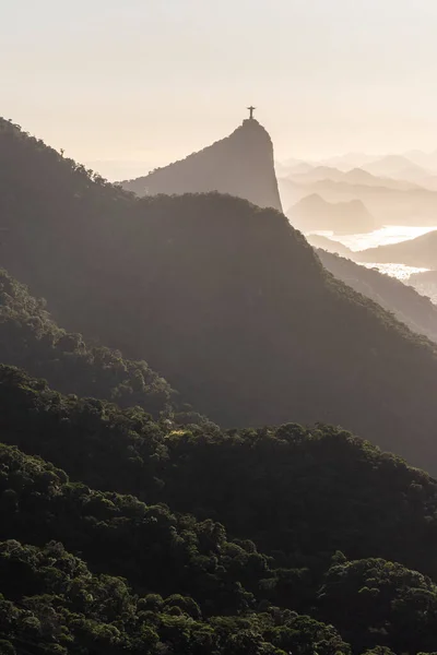 Krásný Výhled Východ Slunce Deštných Pralesů Rio Janeiro Brazílie — Stock fotografie