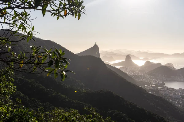 Gyönyörű Napkelte Kilátás Esőerdőkre Városra Rio Janeiro Brazília — Stock Fotó