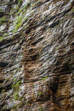 Chapada dos Veadeiros, Gois State, Orta Brezilya 'daki kayalık araziye güzel bir manzara.