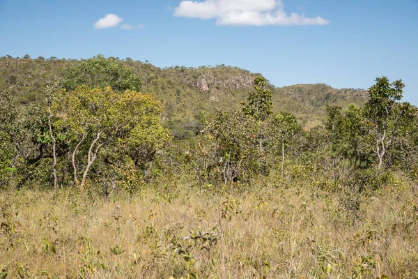 Prachtig Uitzicht Typische Cerrado Landschappen Met Bergen Velden Bomen Chapada — Stockfoto