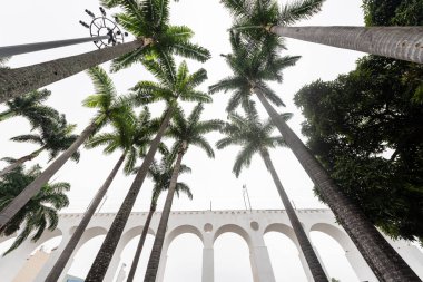 Beautiful view to imperial palm trees and white old historic aqueduct, downtown Lapa district, Rio de Janeiro, Brazil