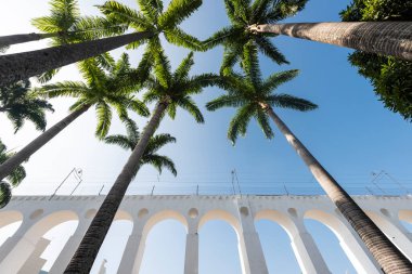 Beautiful view to imperial palm trees and white old historic aqueduct, downtown Lapa district, Rio de Janeiro, Brazil