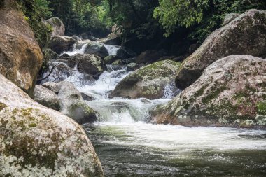 View to beautiful green rainforest jungle river, countryside of Rio de Janeiro, Brazil