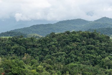 View to beautiful green rainforest mountains in the countryside of Rio de Janeiro, Brazil