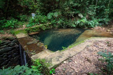 Beautiful view to small historic dam for water harvesting on green rainforest stream, Tijuca National Park, Rio de Janeiro, Brazil