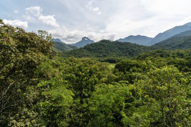 View to beautiful green rainforest mountains on the countryside of Rio de Janeiro, Brazil