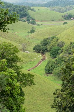 View to livestock pasture fields and farm hills, countryside of Rio de Janeiro, Brazil