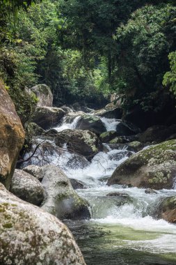 View to beautiful green rainforest jungle river, countryside of Rio de Janeiro, Brazil