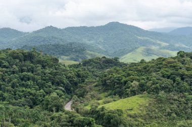 View to beautiful green rainforest mountains in the countryside of Rio de Janeiro, Brazil