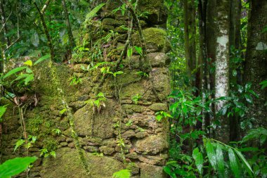 Beautiful view to old rocky ruins on lush green rainforest vegetation, in Tijuca National Park, Rio de Janeiro, Brazil