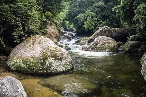 View Beautiful Green Rainforest Jungle River Countryside Rio Janeiro Brazil — Stock Fotó