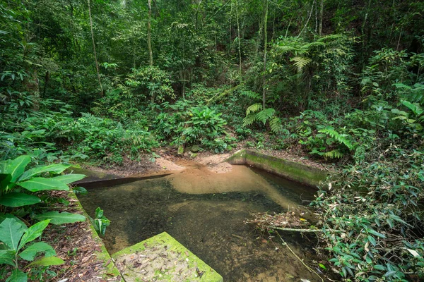 Beautiful View Small Historic Dam Water Harvesting Green Rainforest Stream — Stockfoto