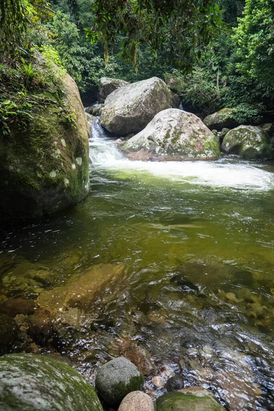 View Beautiful Green Rainforest Jungle River Countryside Rio Janeiro Brazil — Stockfoto