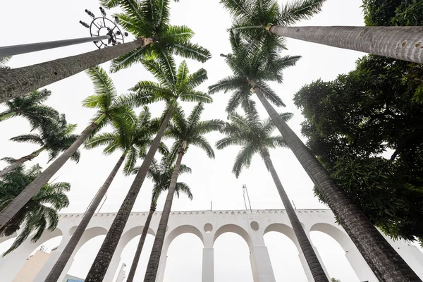 Beautiful View Imperial Palm Trees White Old Historic Aqueduct Downtown — Zdjęcie stockowe