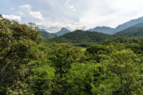 View Beautiful Green Rainforest Mountains Countryside Rio Janeiro Brazil — Fotografia de Stock