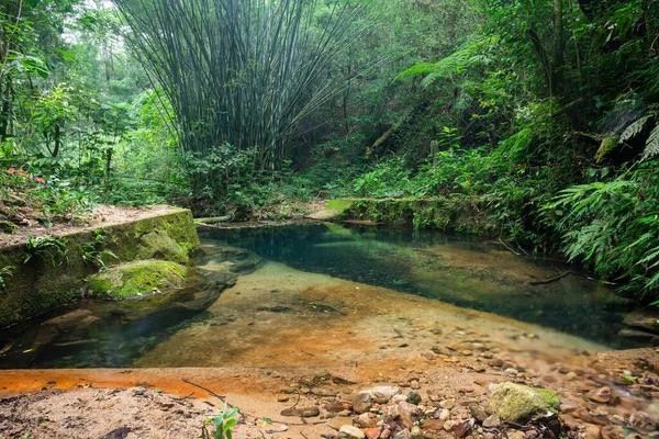 Beautiful View Small Historic Dam Water Harvesting Green Rainforest Stream — Fotografia de Stock