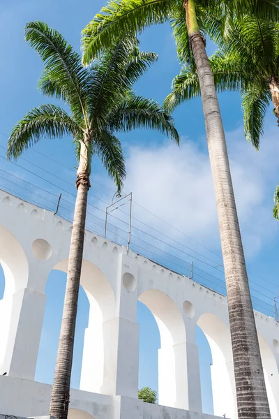 Beautiful View Imperial Palm Trees White Old Historic Aqueduct Downtown — Foto de Stock