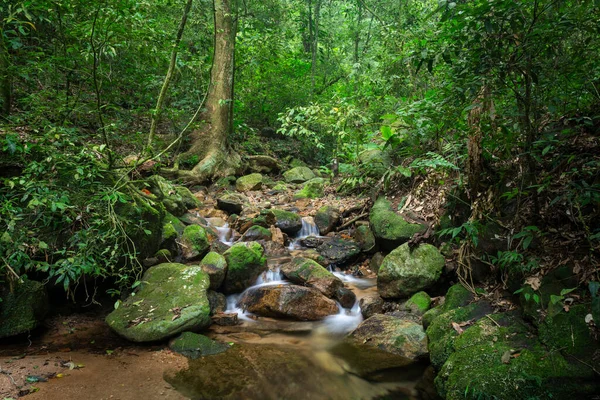 Beautiful View Small Rainforest Stream Green Park Tijuca National Park — Stok fotoğraf