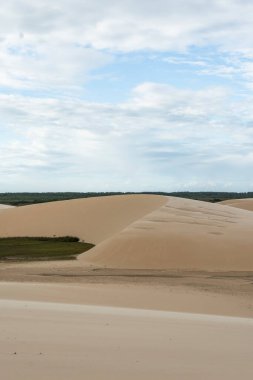 Beautiful view to sand dunes in the Parnaiba River Delta, Maranho State, Brazil.