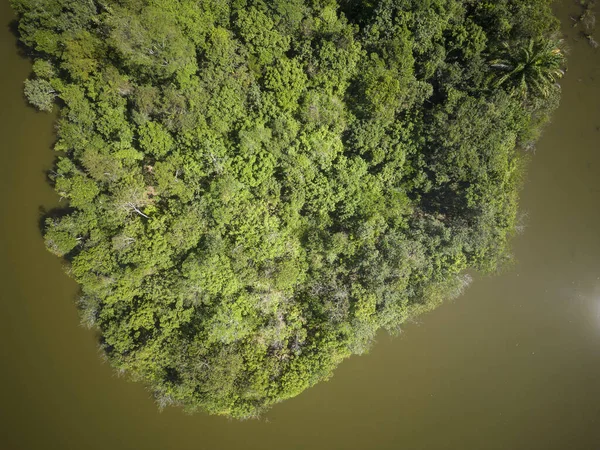 Bela Vista Cima Para Baixo Para Lago Floresta Tropical Verde — Fotografia de Stock