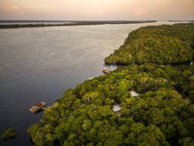 Negro River 'a güzel hava manzarası ve Amazon bitkisi, Amazonas State, Brezilya