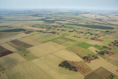 Ponta Por, Mato Grosso do Sul, Brezilya yakınlarındaki tarım tarlalarına ve ekinlere güzel bir hava manzarası.