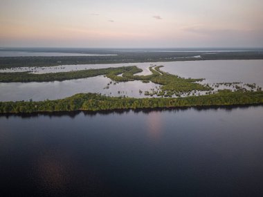 Amazon, Amazonas State, Brezilya 'daki Negro River ve Anavilhanas adalarına güzel hava manzarası