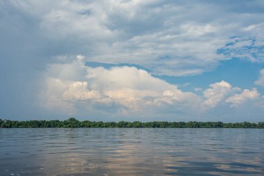 Negro Nehri 'ne güzel manzara ve Amazon Ormanı bitki örtüsü, Amazonlar Eyaleti, Brezilya