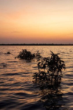 Beautiful view to sunrise over Negro River in the brazilian Amazon, Amazonas State, Brazil clipart