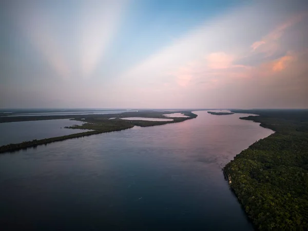 Linda Vista Aérea Para Rio Negro Vegetação Amazônica Verde Estado — Fotografia de Stock