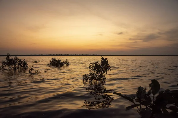 Beautiful View Sunrise Negro River Brazilian Amazon Amazonas State Brazil — Stock Photo, Image