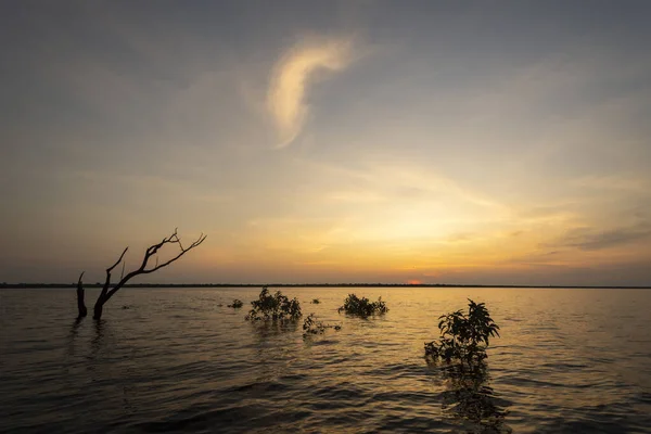 ブラジルのアマゾン アマゾナス州 ブラジルのネグロ川の上に日の出への美しい眺め — ストック写真