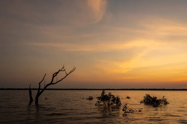 Hermosa Vista Amanecer Sobre Río Negro Amazonía Brasileña Estado Amazonas — Foto de Stock