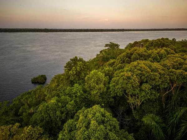 Hermosa Vista Aérea Río Negro Vegetación Verde Amazónica Estado Amazonas — Foto de Stock