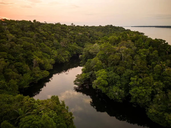 Hermosa Vista Aérea Río Negro Cerca Del Archipiélago Anavilhanas Amazonía — Foto de Stock